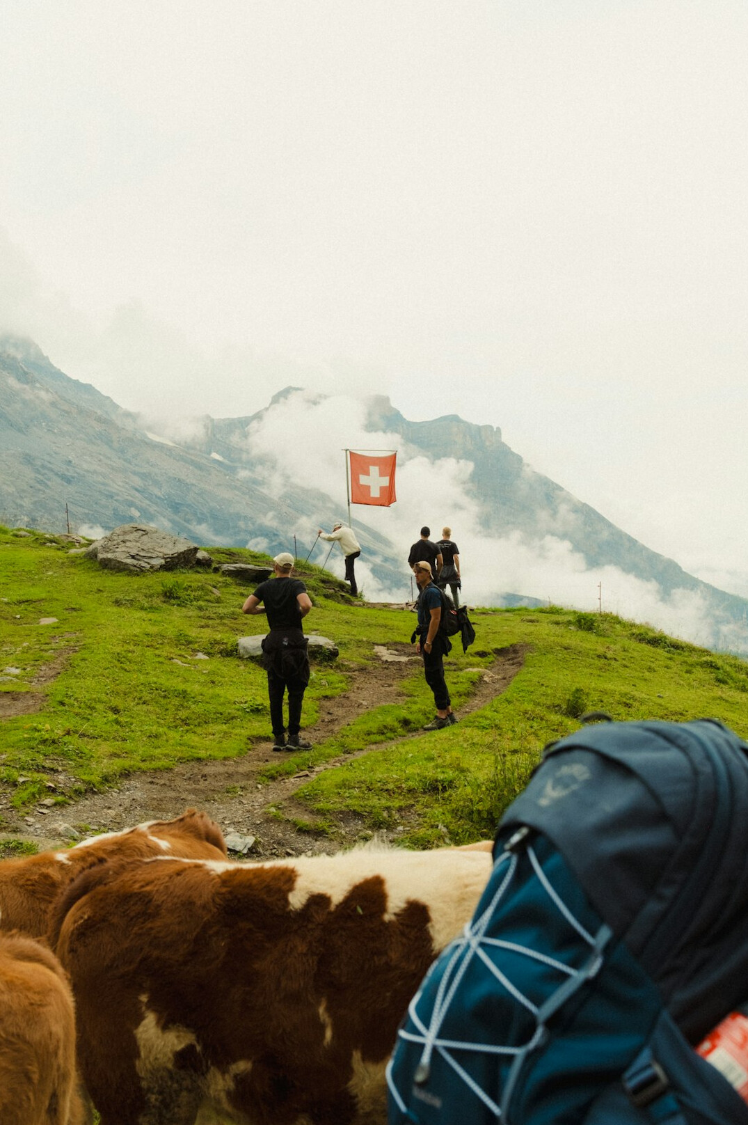 swiss corporate transparency